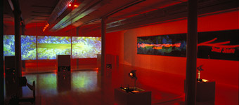Andrew  Stones - 'The Conditions'. Installation with video and mixed media, Tate Liverpool 1993.